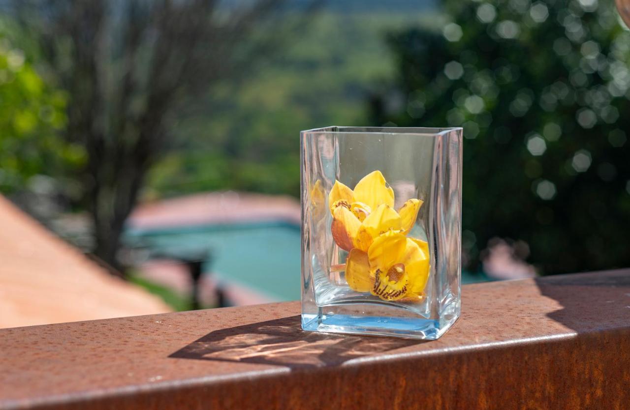 Rectoral De Fofe Guest House Luaran gambar